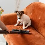 Aspirador de pó bom para pelos animais